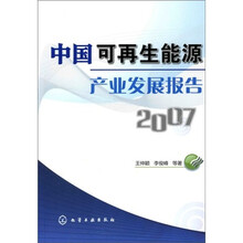 中国可再生能源产业发展报告2007