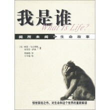 我是谁