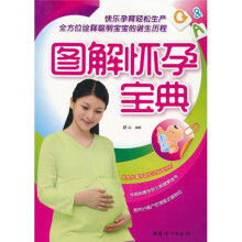 图解怀孕宝典