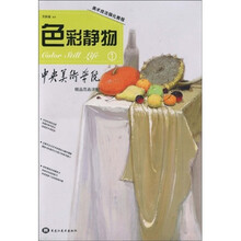 美术技法强化教程：色彩静物1