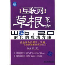 互联网草根革命：Web 2.0时代的成功方略