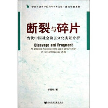 断裂与碎片：当代中国社会阶层分化实证分析