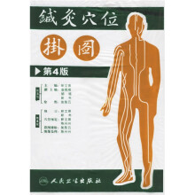 针灸穴位挂图
