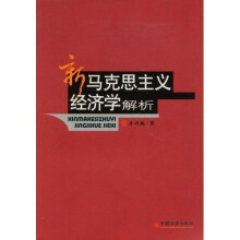 新马克思主义经济学解析