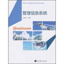 高等学校工商管理专业应用型本科系列教材:管理信息系统