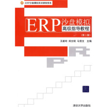 ERP沙盘模拟实训课程体系:ERP沙盘模拟高级指导教程