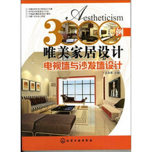 3000例唯美家居设计.电视墙与沙发墙设计