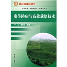 魔芋防病与高效栽培技术