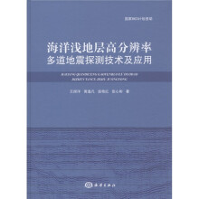 海洋浅地层高分辨率多道地震探测技术及应用