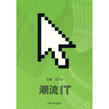 潮流IT