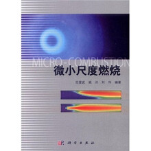微小尺度燃烧