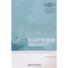 知识产权制度战略化问题研究