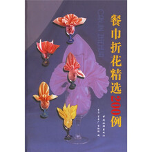 餐巾折花精选200例