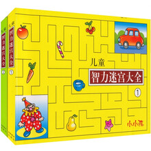 儿童智力迷宫大全（套装共2册）（最新版）