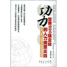 功力：世界500强企业的人力资源实践
