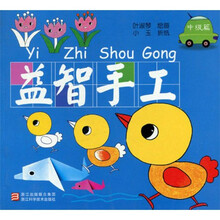 益智手工：中级篇