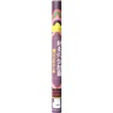 针灸穴位挂图（修订女性真人版）（附说明书）