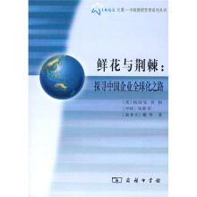 鲜花与荆棘:探寻中国企业全球化之路