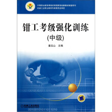 钳工考级强化训练(中级)