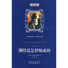 中译经典文库·世界文学名著:钢铁是怎样炼成的(全译本)