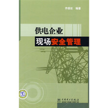 供电企业现场安全管理