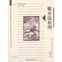 世界传播学下马威教材中文版：媒介法原理