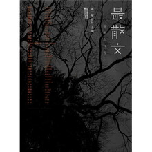 在纸上飞行：最散文