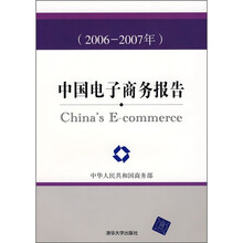 中国电子商务报告（2006-2007年）
