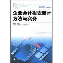 企业会计报表审计方法与实务