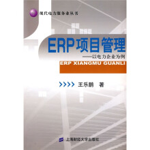 ERP项目管理)以电力企业为例