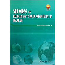 2008年低渗透油气藏压裂酸化技术新进展