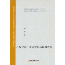 产权控制、资本投向与配置效率