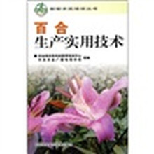 百合生产实用技术
