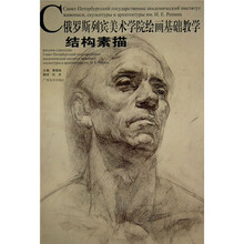 俄罗斯列宾美术学院绘画基础教学丛书：结构素描