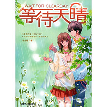 第2代灰姑娘