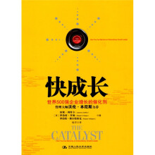 快成长：世界500强企业增长的催化剂