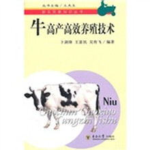 牛高产高效养殖技术