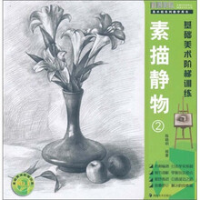 基础美术阶梯训练：素描静物2（美术班系列教学用书）