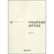 中国法律发展的法哲学反思