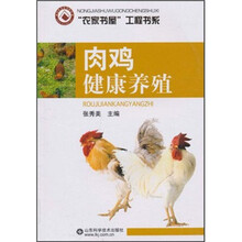 肉鸡健康养殖