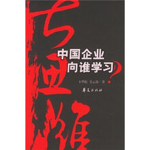 大思维：中国企业向谁学习