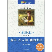 成长文库·世界少年文学精选：童年 在人间 我的大学（美绘本青少版）