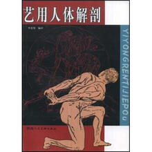 艺用人体解剖