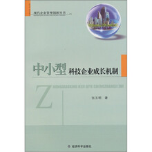 中小型科技企业成长机制