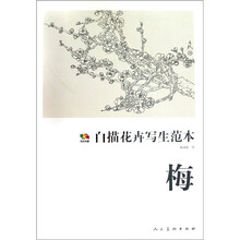 梅-白描花卉写生范本