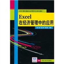 大学计算机基础与应用系列立体化教材：Excel在经济管理中的应用