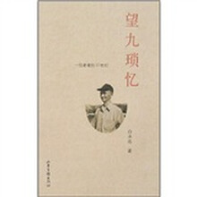 望九琐忆