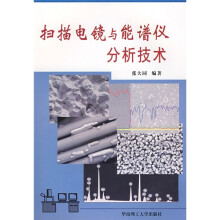 扫描电镜与能谱仪分析技术