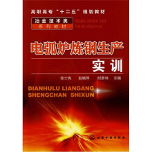 电弧炉炼钢生产实训