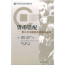 货币错配：新兴市场国家的困境与对策